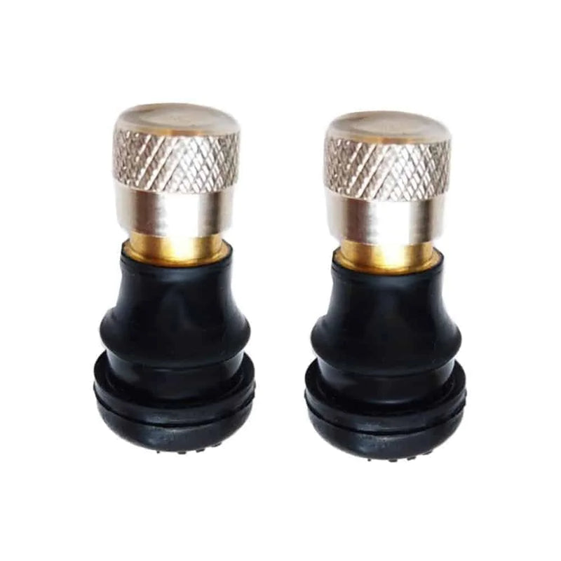 Straight Tubeless Tire Valves for Electric Scooter & Bicycle – 2 pcs